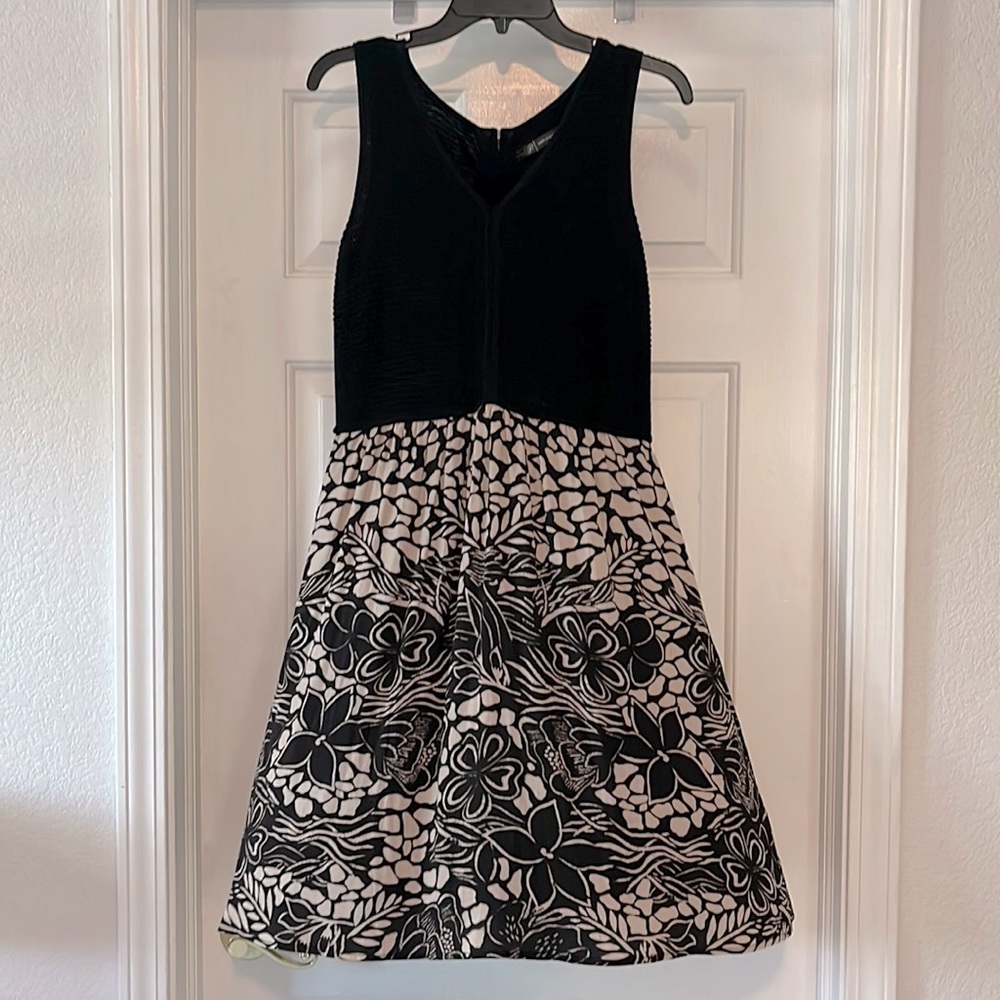 Sweet Adrianna Papell Dress